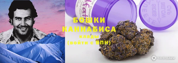 PSILOCYBIN Балабаново
