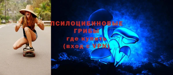 дмт Нязепетровск