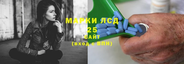 PSILOCYBIN Балабаново