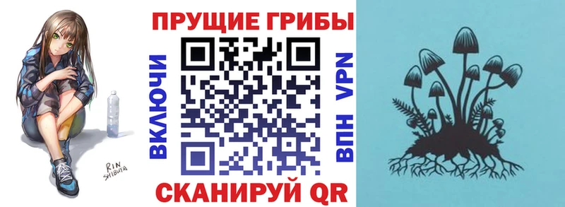 Галлюциногенные грибы ЛСД  Соль-Илецк 